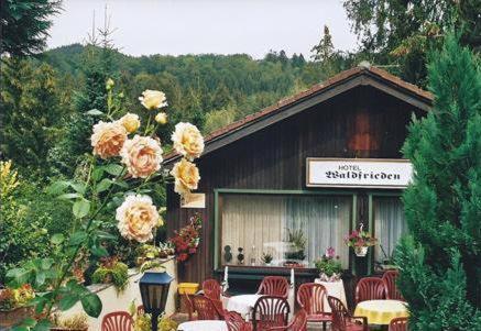 Ferienhotel Waldfrieden باد ساخسا المظهر الخارجي الصورة